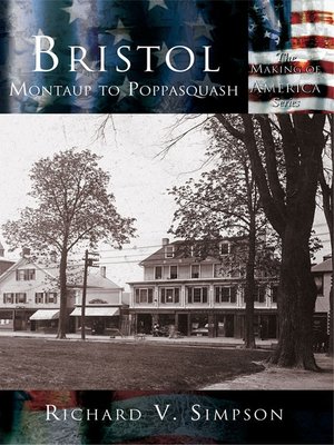 cover image of Bristol